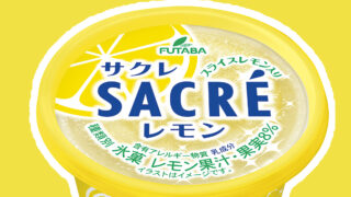 投票した商品が実際に商品化するかも！？サクレ39周年記念企画が実施中