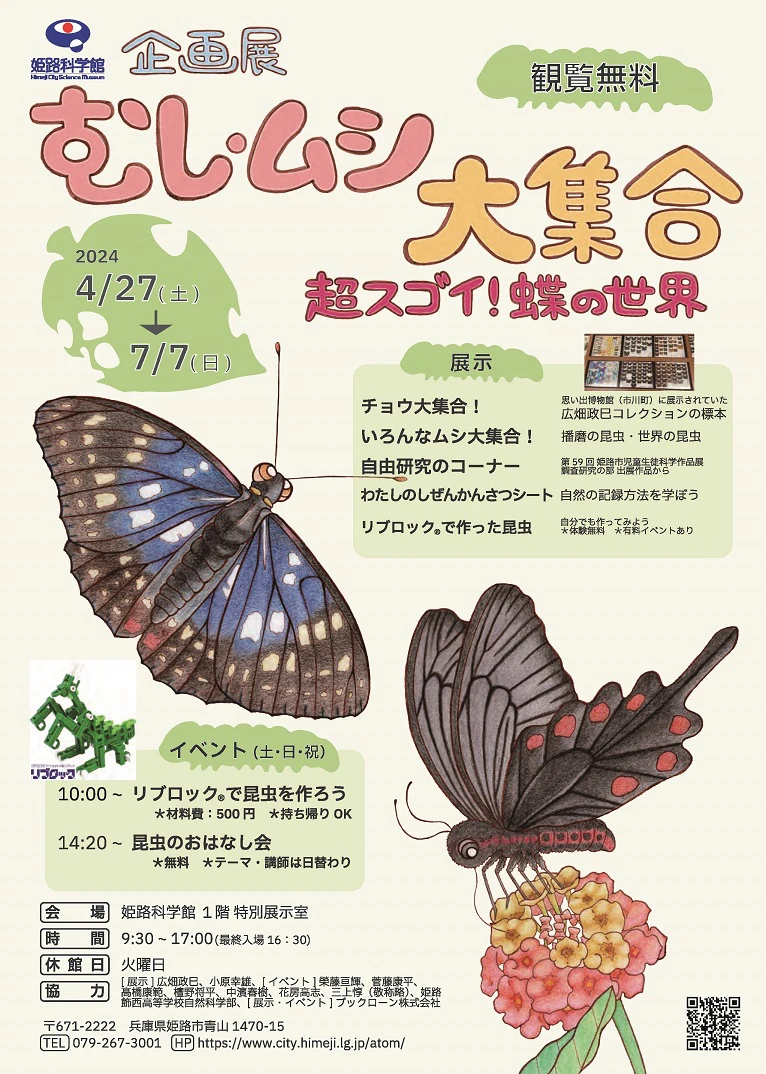 昆虫ファン必見。姫路科学館「むし・ムシ大集合 -超スゴイ！蝶の世界-」企画展が開催
