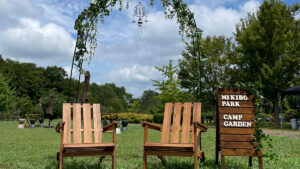 「みきぼうパークキャンプ場」7月～9月の期間限定で宿泊キャンプを実施｜三木市