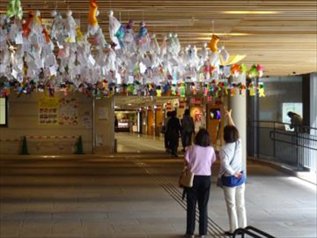 梅雨の風物詩。「てるてるぼうず展2024」が姫路駅北にぎわい交流広場で開催