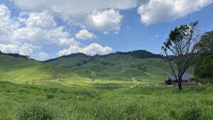 峰山高原から砥峰高原へ。「大河内高原ハイキング2026」参加者募集│神河町