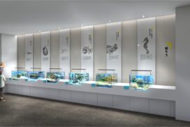 城崎マリンワールドの魚類展示エリア「SeaZoo」が7月25日にリニューアルオープン｜豊岡市