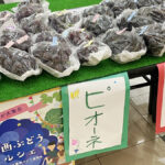 「加西ぶどう直売所MAP」で旬の味覚を楽しもう！｜加西市