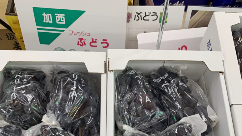 加西市のぶどう「ベリーA」がこびとぱん福崎店にて販売｜福崎町