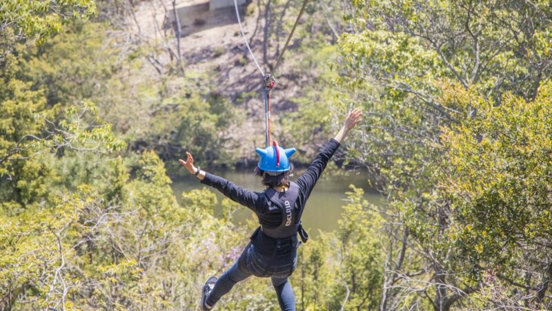 クレヨンしんちゃんと秋の大自然へ！淡路島ニジゲンノモリで空中アクション体験