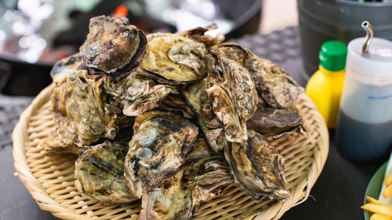 森林の中で海の幸。兵庫県・宍粟市に新鮮な牡蠣を楽しむかき小屋がオープン！