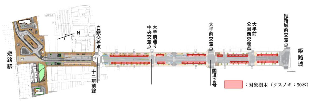 Himeji大手前通りイルミネーションが大阪・関西万博開催期間も継続│姫路市