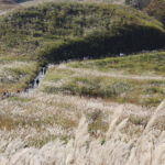 兵庫を巡る万博体験。EXPOレガシーひょうごスタンプラリーが開催