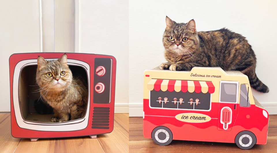猫グッズ】お部屋に飾っても可愛い！レトロテレビ＆アイス