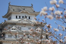 姫路城、2024年度の入城者数は150万人超え！外国人観光客が大幅増で新たな賑わい