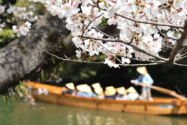 和船から眺める。姫路城の優雅なお堀めぐり体験│姫路市