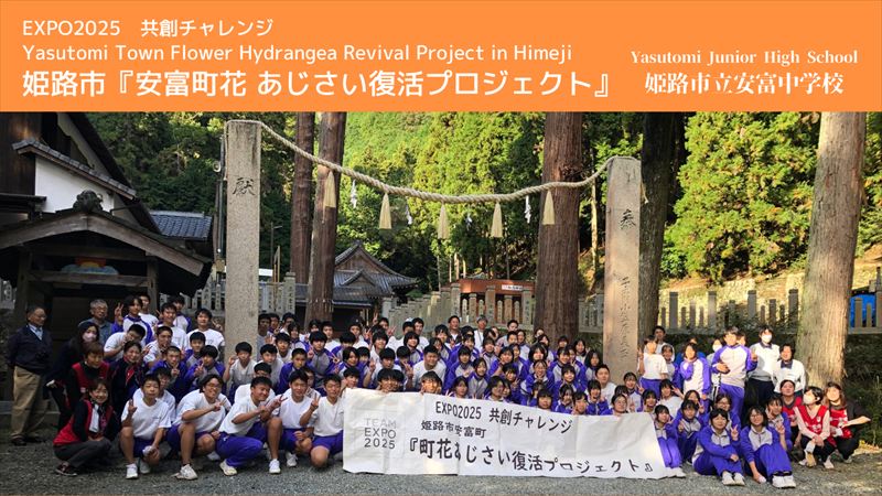 【大阪・関西万博】EXPO VISIONで姫路市立安富中学校「安富町花あじさい復活プロジェクト」動画が上映