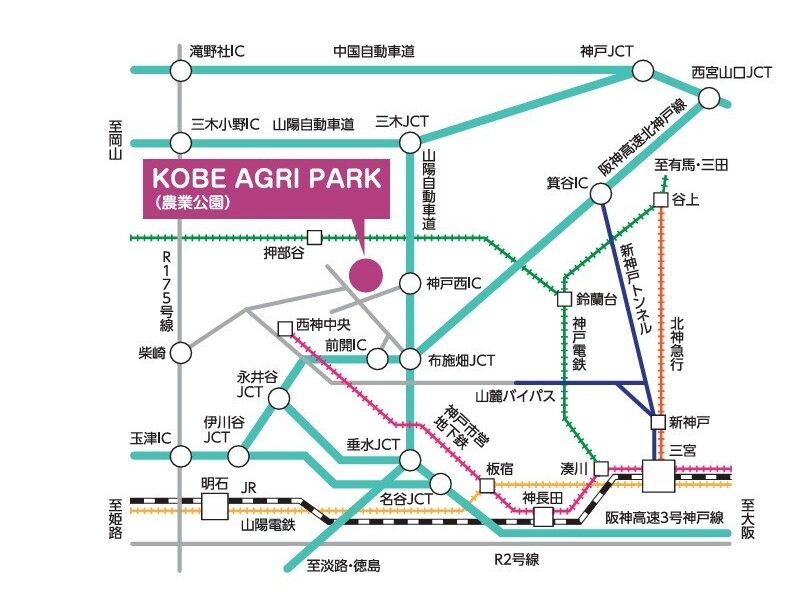 約100万輪のネモフィラが咲き誇る新名所が神戸に誕生!『こうべアグリパークネモフィラの丘2025』が4月12日から開催