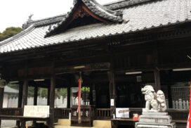 深緑につつまれた宇仁郷を歩こう『ふるさと再発見ハイキング』が開催｜加西市