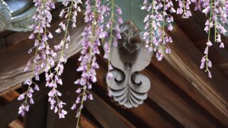 大歳神社　藤　宍粟