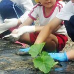 神崎幼稚園の園児たちが馬車道かぼちゃの苗植えを体験／神河町