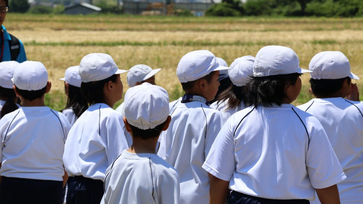 八千種小学校もち麦刈り取り体験