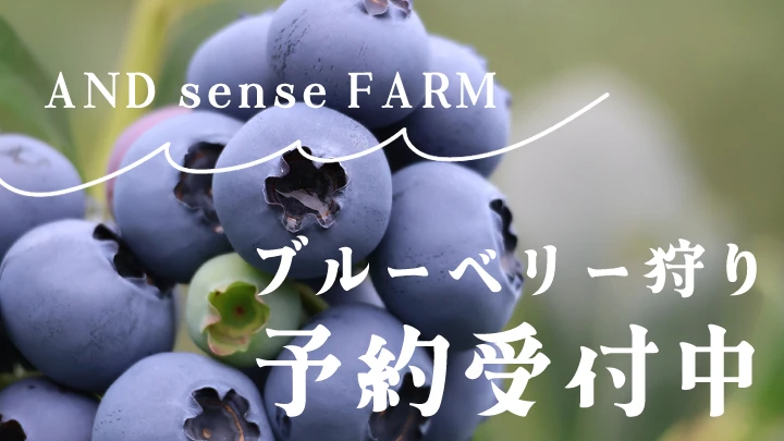 アンドセンスファーム