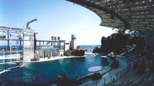 進化した海の世界へ。城崎マリンワールドが7月18日にリニューアルオープン│豊岡市