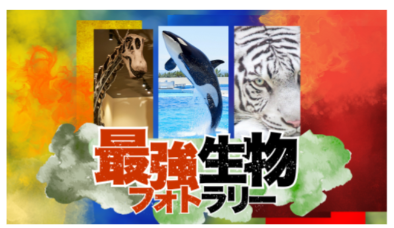 兵庫県のレジャー施設とSAが連携！「最強生物フォトラリー」が開催
