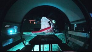 福崎町の夜に妖怪たちが出現！辻川山公園ナイトイベントで幻想体験