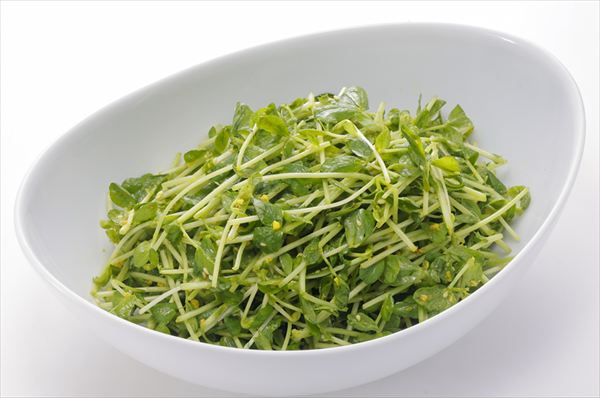 【ステーキ宮】岩下の新生姜コラボ第2弾!ザクザク食感が楽しい、コクうまサラダが新登場