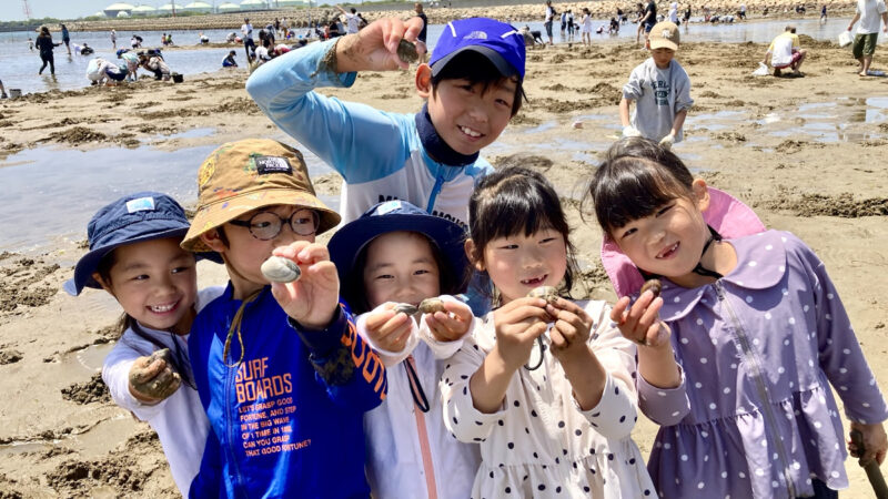 秋の白浜で潮干狩り！関西初の新しい海の遊びがスタート│姫路市