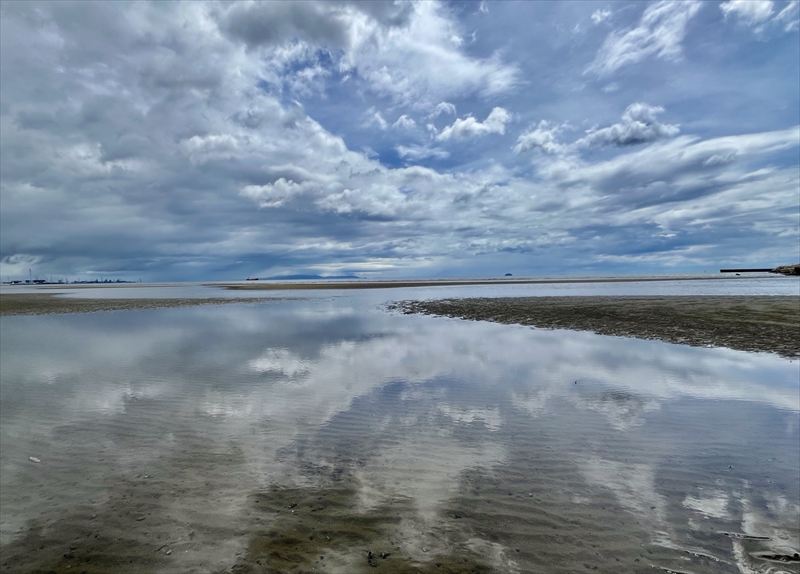 秋の白浜で潮干狩り！関西初の新しい海の遊びがスタート│姫路市