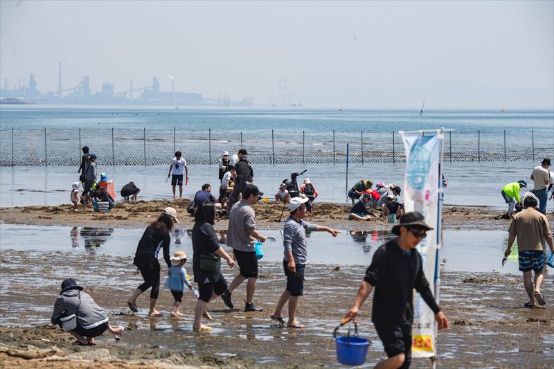 秋の白浜で潮干狩り！関西初の新しい海の遊びがスタート│姫路市