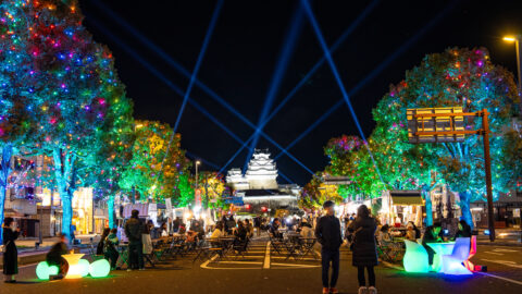 Himeji大手前通りイルミネーション│姫路市