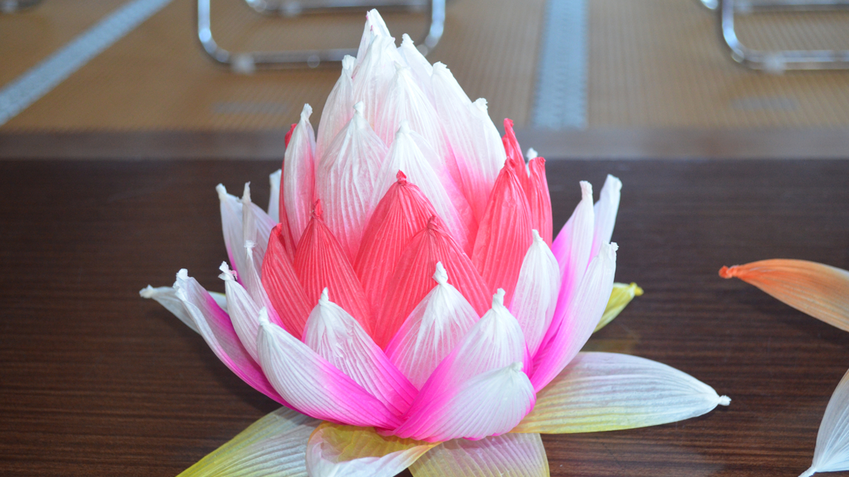 田原駅から散策しよう!『ふるさと再発見ハイキング』が開催|加西市