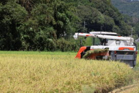 未来へつなぐ！市川町・瀬加地域が示す農業再生ロードマップ