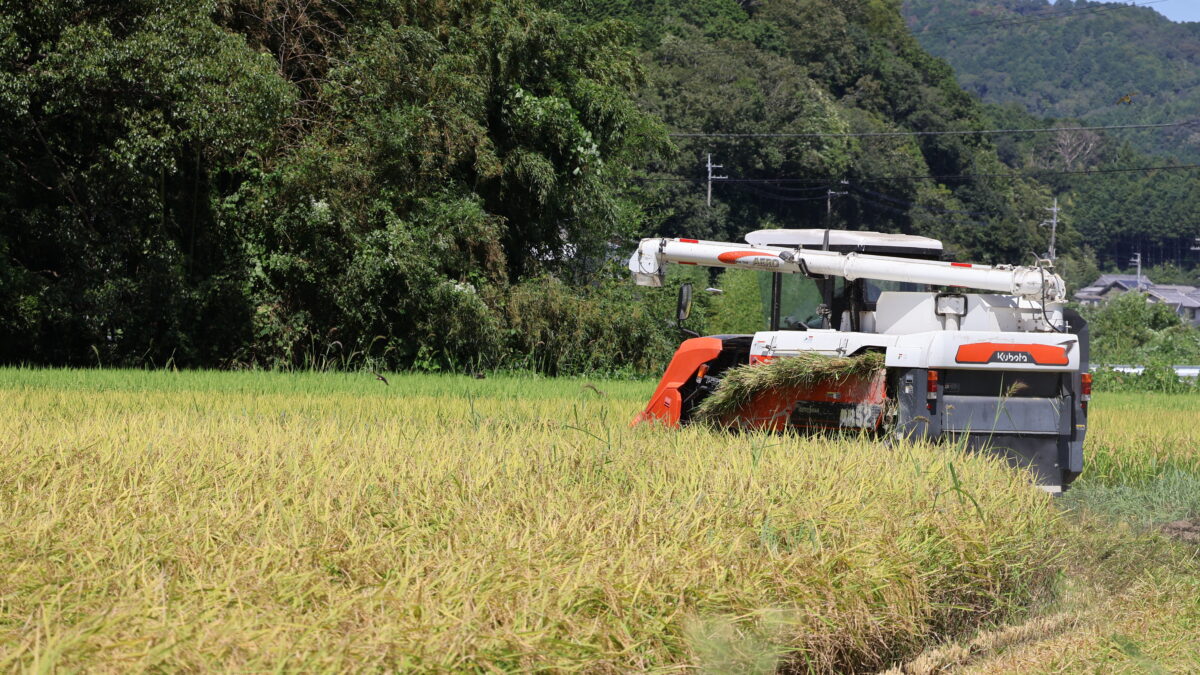 未来へつなぐ！市川町・瀬加地域が示す農業再生ロードマップ