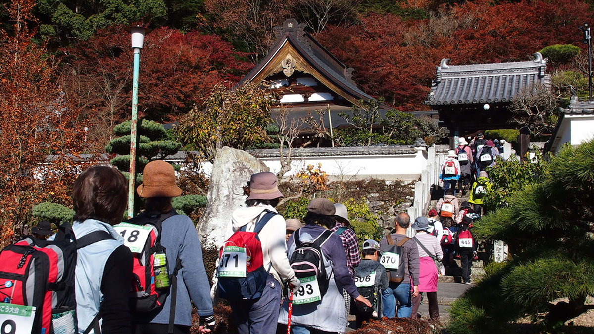 第36回 福崎町自然歩道を歩こう大会｜福崎町