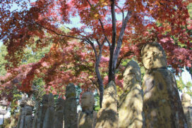 第2回 加西風土記の里ウォークが開催。五百羅漢の紅葉を満喫しよう│加西市