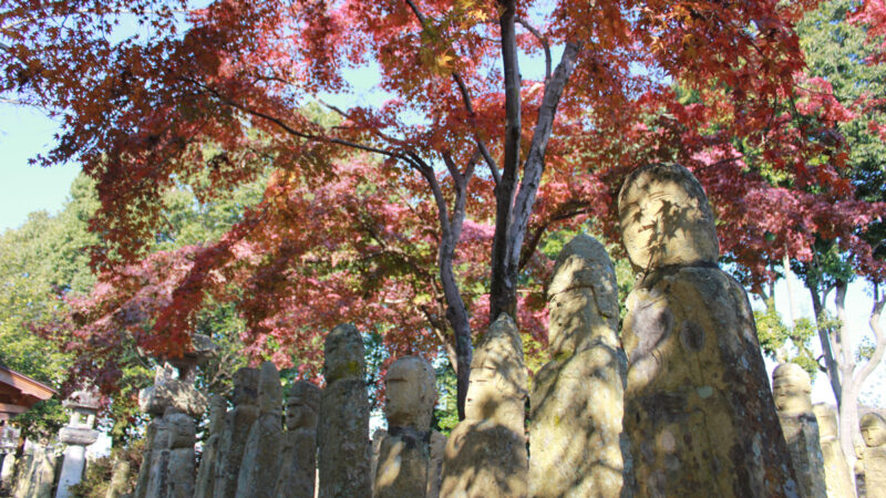 第2回 加西風土記の里ウォークが開催。五百羅漢の紅葉を満喫しよう│加西市