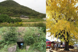 網引を散策しませんか？『ふるさと再発見ハイキング』が開催｜加西市