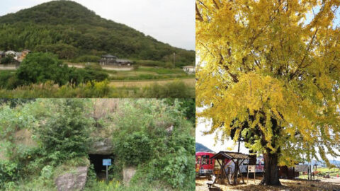 網引を散策しませんか？『ふるさと再発見ハイキング』が開催｜加西市