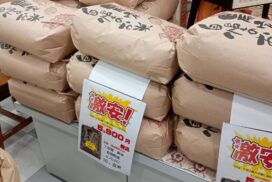 安すぎ？お米が高すぎる時代にまさかの超穴場を発見！兵庫県産ブランド米をオトクに／福崎町