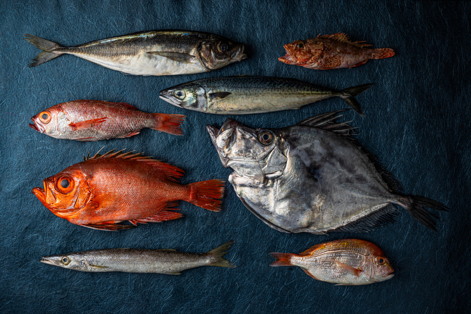 人生に、感じる時間を。香美町に“感性の宿”The Sanaton誕生へ。クラウドファンディング開始