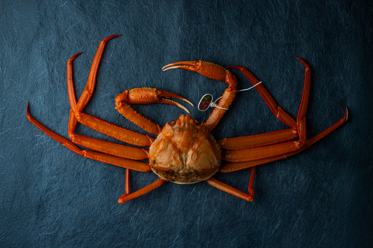 人生に、感じる時間を。香美町に“感性の宿”The Sanaton誕生へ。クラウドファンディング開始