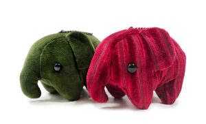 「コメダ珈琲店」と「おかげ庵」にてドムドムハンバーガーコラボ福袋が販売