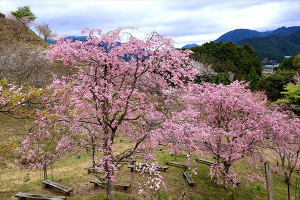 トヨタカローラ姫路の新拠点「COROHIMERIVER（カロひめリバー）」が2026年4月 神河町に開業