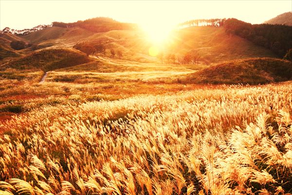 トヨタカローラ姫路の新拠点「COROHIMERIVER（カロひめリバー）」が2026年4月 神河町に開業