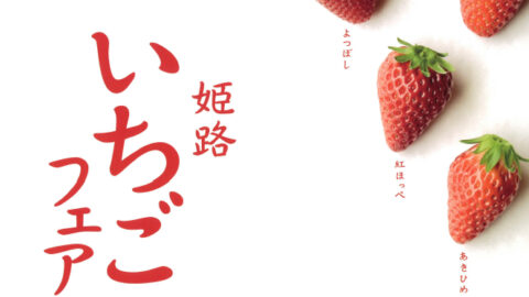 姫路いちごフェア│姫路市