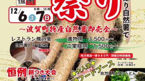 自然薯まつり│宍粟市