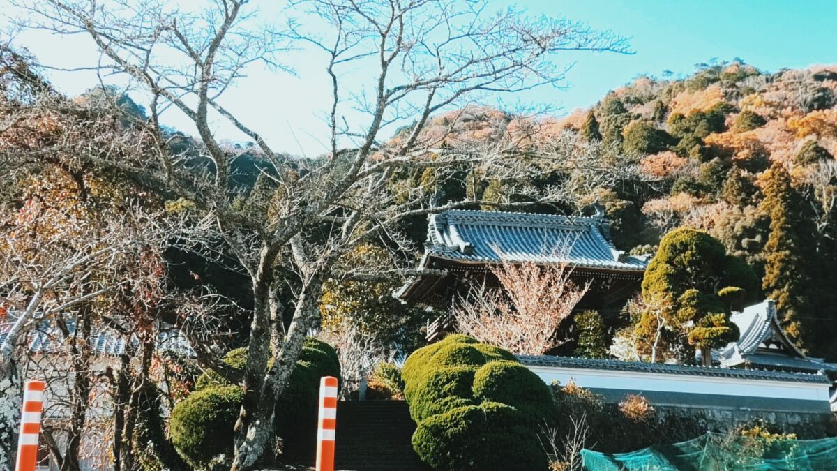 時を超えて結ばれた奇縁!姫路城主の書「七種山」が名刹・金剛城寺へ還る/福崎町