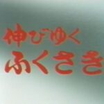 町制70周年記念 連載 第2回:高速道路が開いた未来!1981年『伸びゆくふくさき』が映す大転換期/福崎町