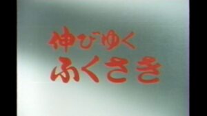 町制70周年記念 連載 第2回：高速道路が開いた未来！1981年『伸びゆくふくさき』が映す大転換期／福崎町
