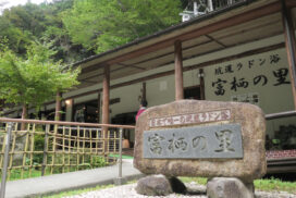 話題作を姫路で体感！映画「ラドンの奇跡」トーク＆シネマ上映会が開催│姫路市